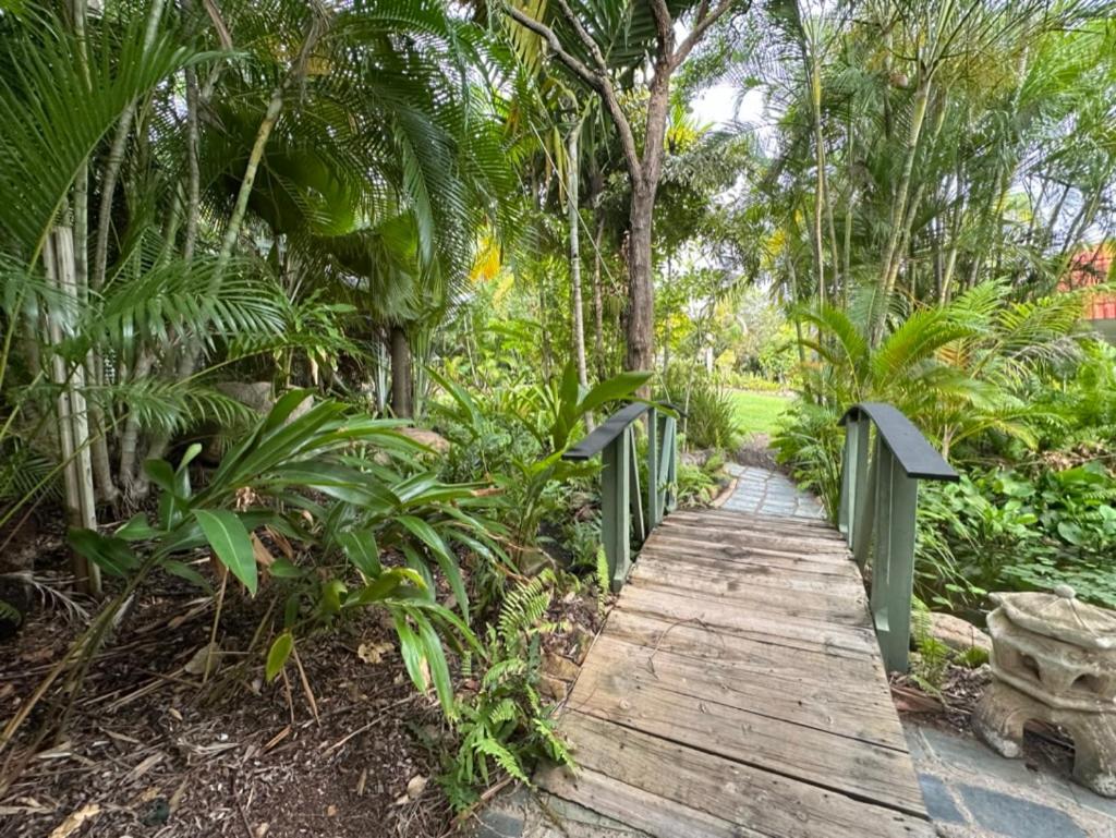 Magnetic Island Resort Studio Nelly Bay Exterior foto